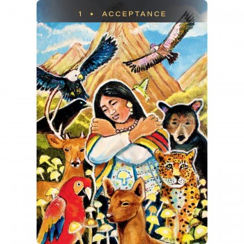 Sacred Mushroom Oracle kortos Hay House